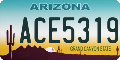 AZ license plate ACE5319