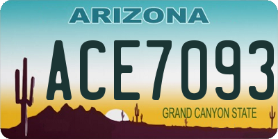 AZ license plate ACE7093