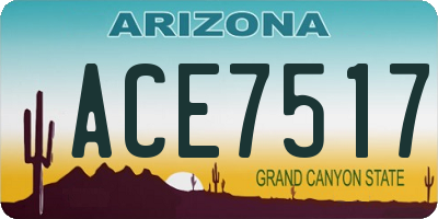 AZ license plate ACE7517
