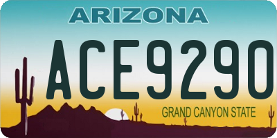 AZ license plate ACE9290