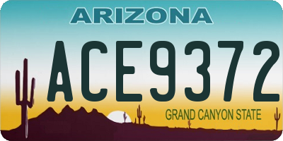 AZ license plate ACE9372