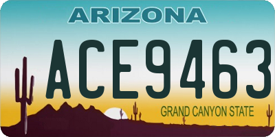 AZ license plate ACE9463