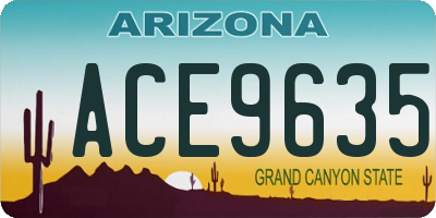 AZ license plate ACE9635