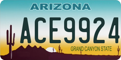 AZ license plate ACE9924