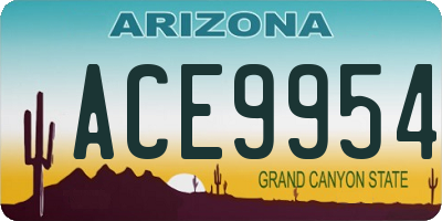 AZ license plate ACE9954