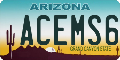 AZ license plate ACEMS6