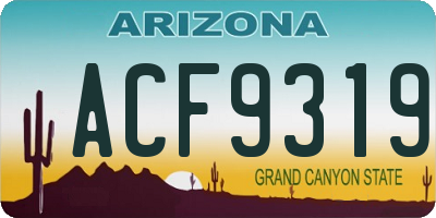 AZ license plate ACF9319