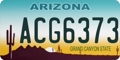 AZ license plate ACG6373