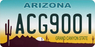AZ license plate ACG9001