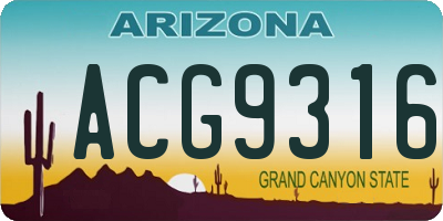 AZ license plate ACG9316