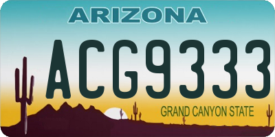 AZ license plate ACG9333