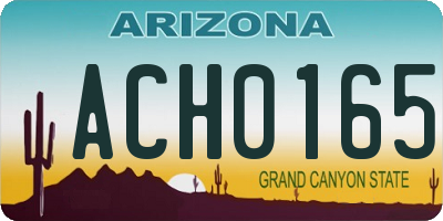 AZ license plate ACH0165