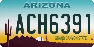 AZ license plate ACH6391