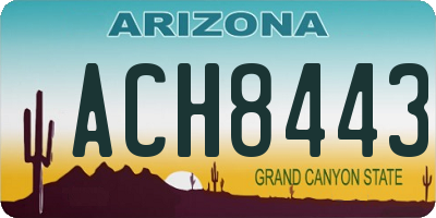 AZ license plate ACH8443