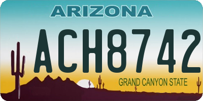AZ license plate ACH8742