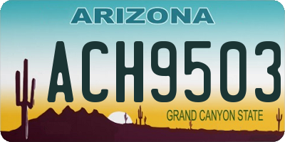AZ license plate ACH9503