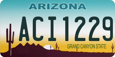 AZ license plate ACI1229
