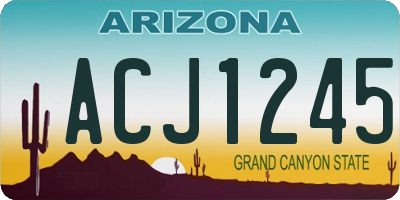 AZ license plate ACJ1245