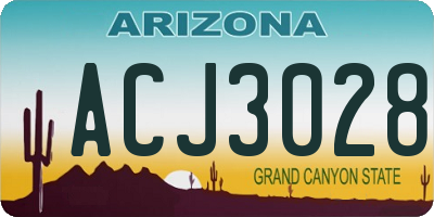 AZ license plate ACJ3028