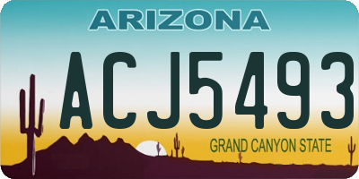 AZ license plate ACJ5493