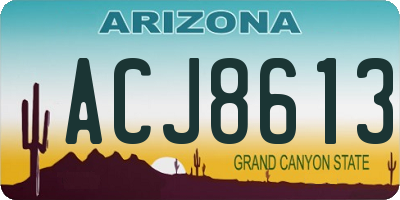 AZ license plate ACJ8613