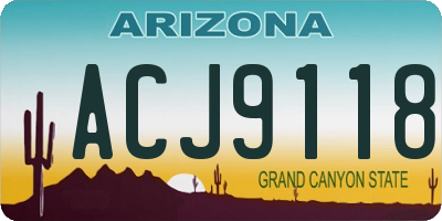AZ license plate ACJ9118