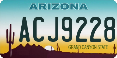 AZ license plate ACJ9228
