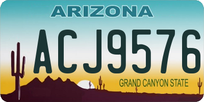 AZ license plate ACJ9576