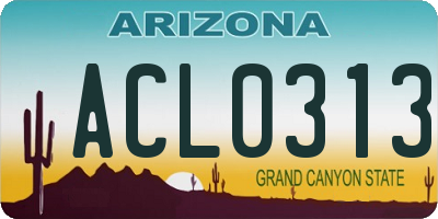 AZ license plate ACL0313