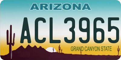 AZ license plate ACL3965
