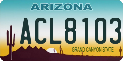 AZ license plate ACL8103