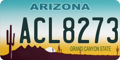 AZ license plate ACL8273