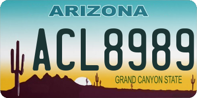 AZ license plate ACL8989