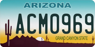 AZ license plate ACM0969