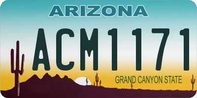 AZ license plate ACM1171
