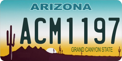 AZ license plate ACM1197