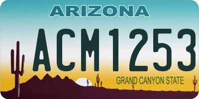 AZ license plate ACM1253