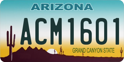 AZ license plate ACM1601