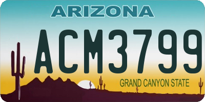 AZ license plate ACM3799