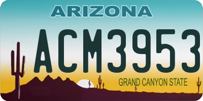 AZ license plate ACM3953