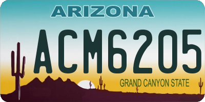 AZ license plate ACM6205