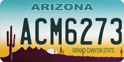 AZ license plate ACM6273