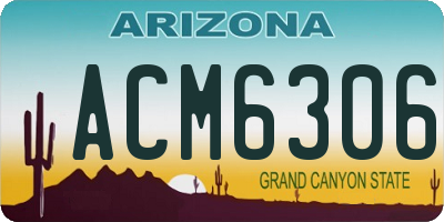 AZ license plate ACM6306