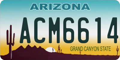 AZ license plate ACM6614