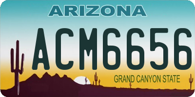 AZ license plate ACM6656