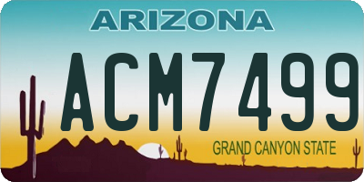 AZ license plate ACM7499