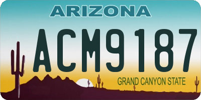 AZ license plate ACM9187