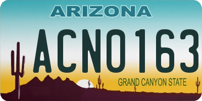 AZ license plate ACN0163