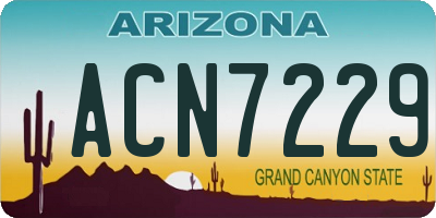 AZ license plate ACN7229
