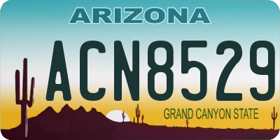 AZ license plate ACN8529